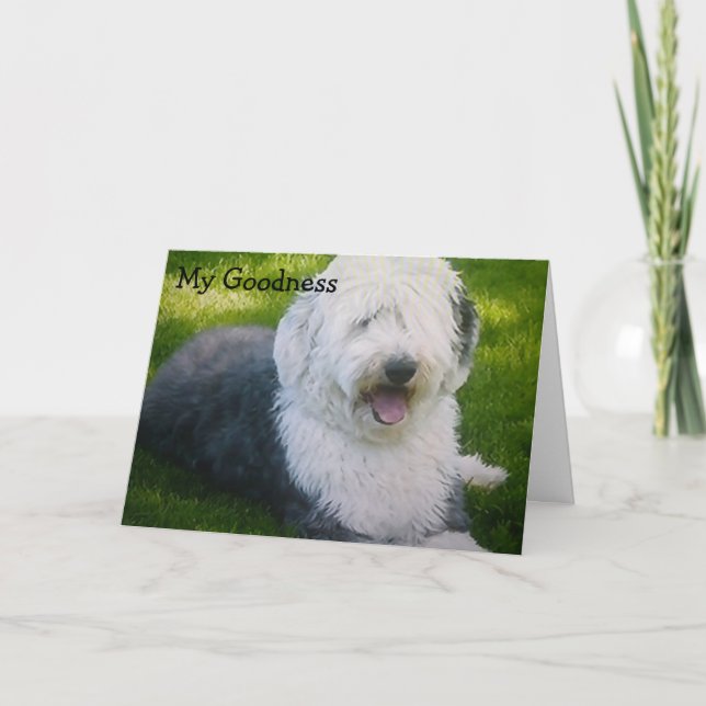 "TWEET ME SOMETIME" BIRTHDAY WISHES CARD (Front)