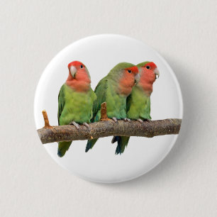 Tweet Trio Badge