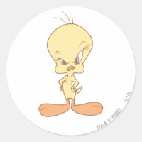 TWEETY™ Angry
