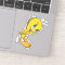 TWEETY™ Bashful