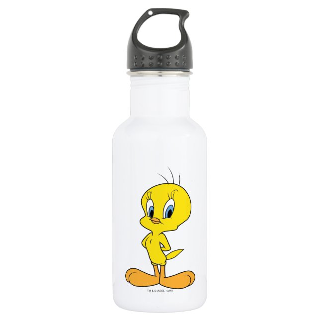 TWEETY™ | Clever Bird 532 Ml Water Bottle (Front)