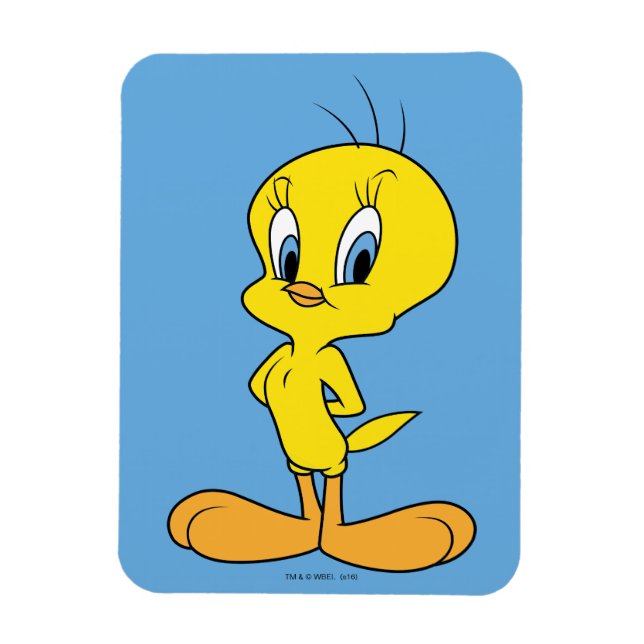 TWEETY™ | Clever Bird Magnet (Vertical)