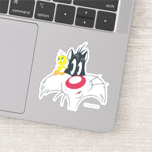 TWEETY™ In Action Pose