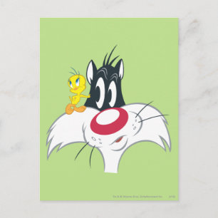 TWEETY™ In Action Pose 12 Postcard