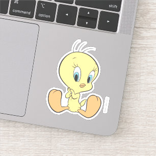 TWEETY™ In The Clouds Pose