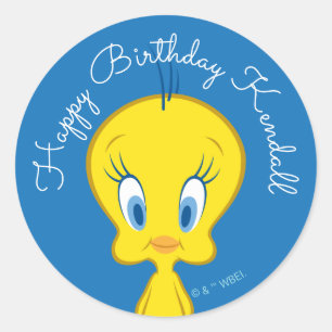 TWEETY™ Innocent Little Bird Classic Round Sticker