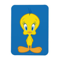 TWEETY™ | Innocent Little Bird