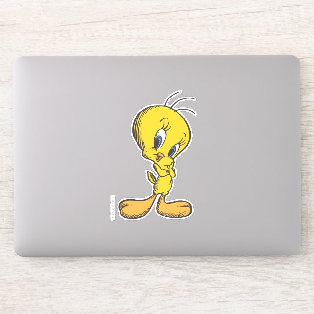 TWEETY™ Shy (Computer)