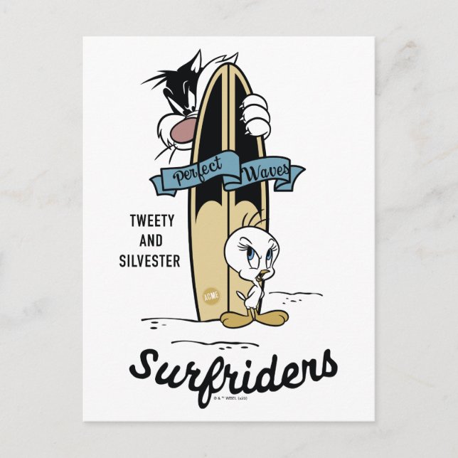 TWEETY™ & SYLVESTER™ Surfriders Postcard (Front)