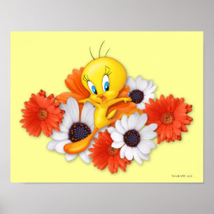 Tweety With Daisies Poster