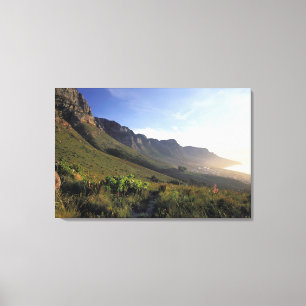 Twelve Apostles, Cape Town, Western Cape Canvas Print