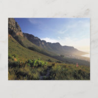 Twelve Apostles, Cape Town, Western Cape