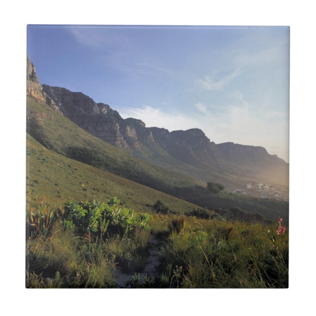 Twelve Apostles, Cape Town, Western Cape Tile (Front)