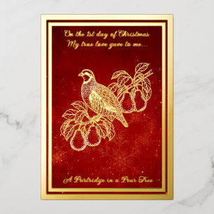 Twelve days of Christmas, A Partridge 