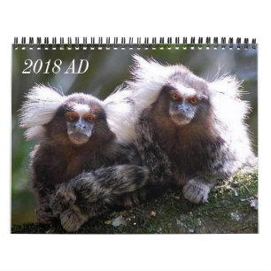 Twelve Monkeys Calendar