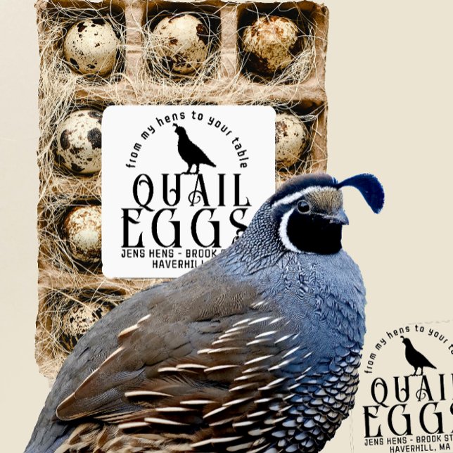 Twenty-five Transparent or White Quail Egg Carton (Creator Uploaded)