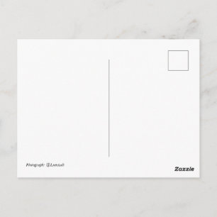 Twenty-three Postcard