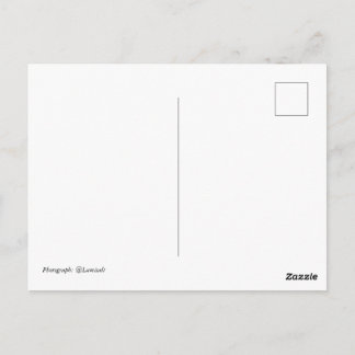 Twenty-three Postcard