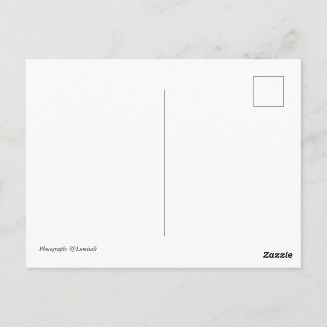 Twenty-three Postcard (Back)