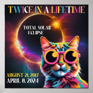 Twice In A Lifetime Total Solar Eclipse 2024 Funny Poster