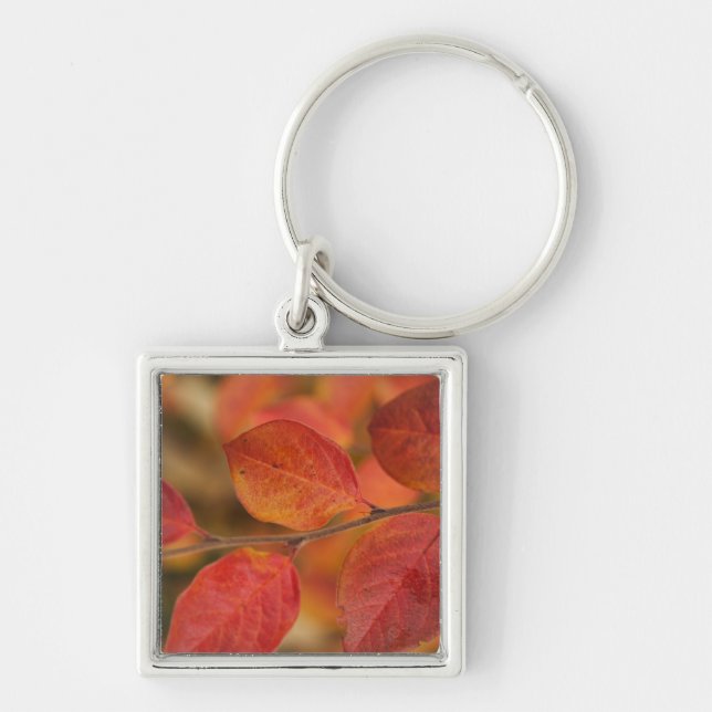 Twig covered with autumn leaves key ring (Front)