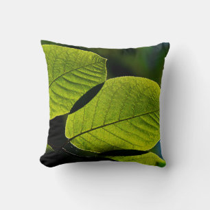 Twig leaf green foliage veins cushion
