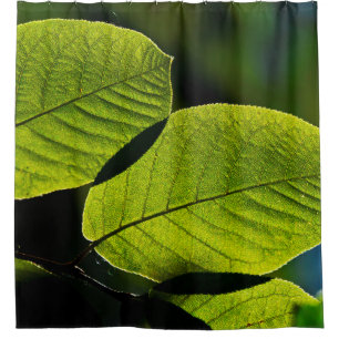 Twig leaf green foliage veins shower curtain
