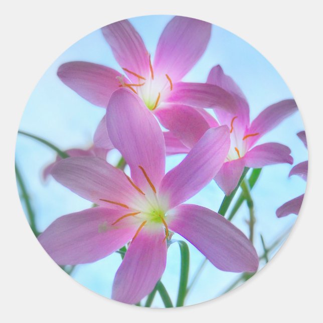 Twilight Fairy Lilies Envelope Seal Stickers (Front)
