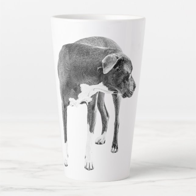 Twilight Field Watcher Latte Mug (Front)