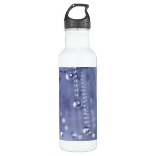 Twilight in Crystal 710 Ml Water Bottle