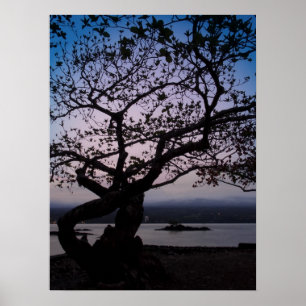 TWILIGHT on HILO BAY HAWAII Poster