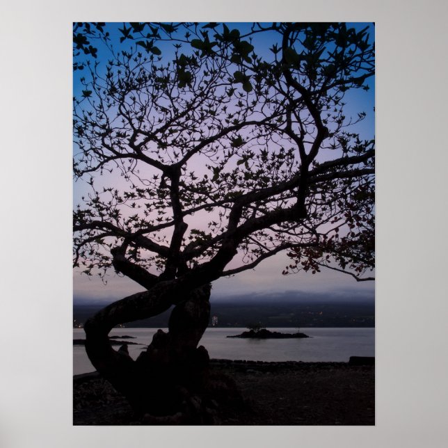 TWILIGHT on HILO BAY HAWAII Poster (Front)