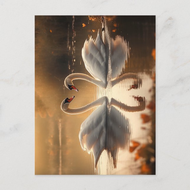 Twilight Serenity - Swans in Love Postcard (Front)
