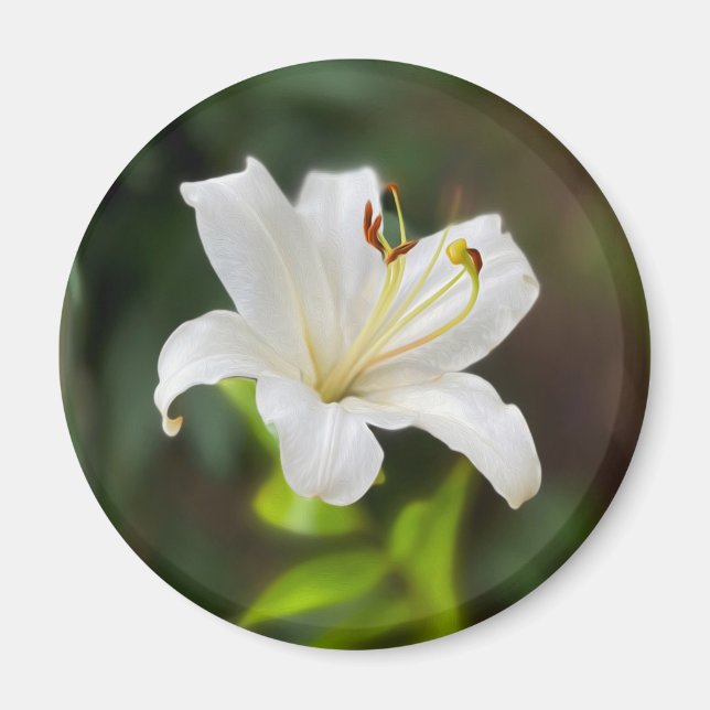 Twilight white lily magnet (Front)