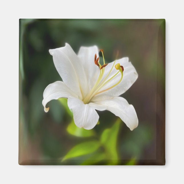 Twilight white lily magnet (Front)