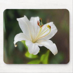 Twilight white lily mouse pad