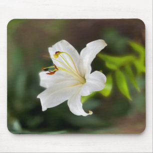 Twilight white lily mouse pad