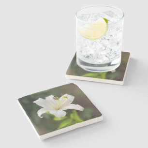 Twilight white lily stone coaster