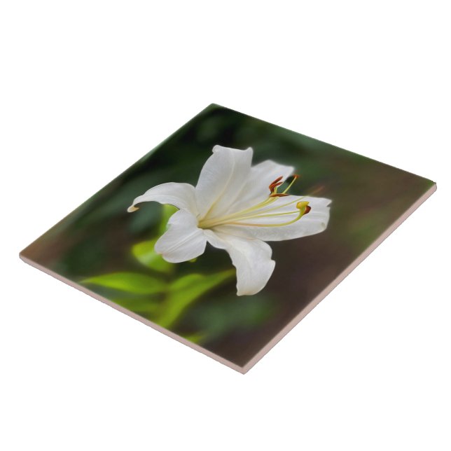 Twilight white lily tile (Side)