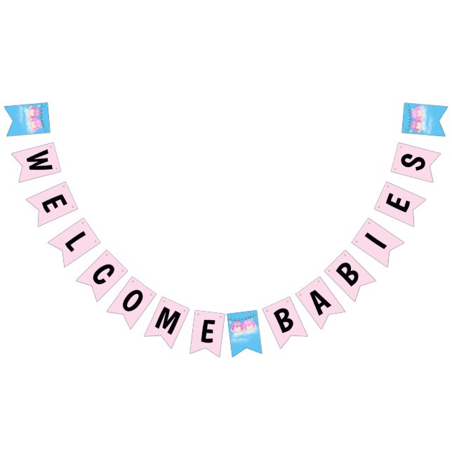 Twin Baby Girls Shower Bunting (All)