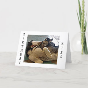 TWIN BIRTHDAY KISSES = PUP PHOTOGRAPHY CARD