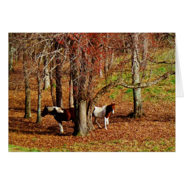 Twin Brown and White Horses (Front Horizontal)