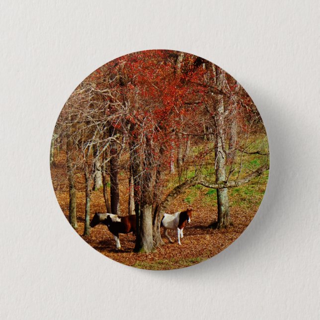 Twin Brown and White Horses 6 Cm Round Badge (Front)