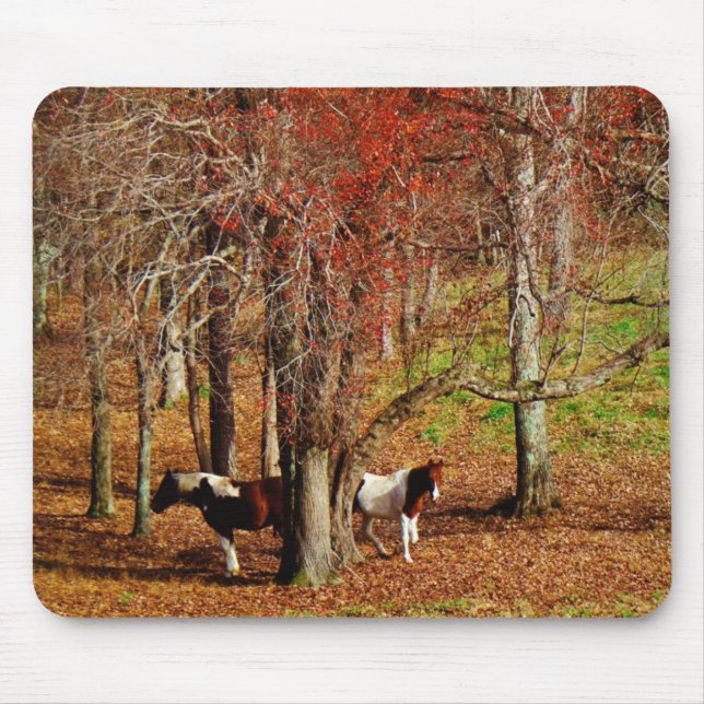 Twin Brown and White Horses Mouse Pad (Front)