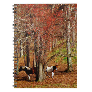 Twin Brown and White Horses Notebook