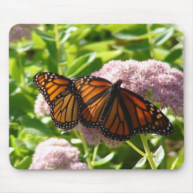 TWIN BUTTERFLIES MOUSE PAD (Front)