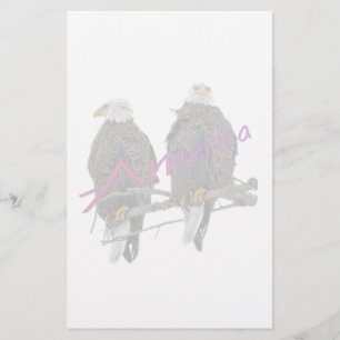 Twin Eagles America Stationery