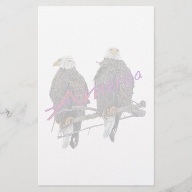 Twin Eagles America Stationery (Front)