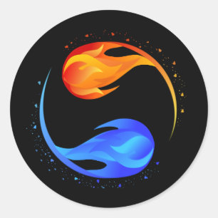 Twin Flame  Classic Round Sticker