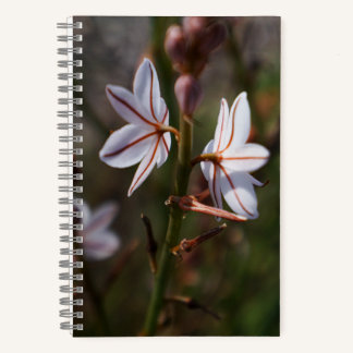 Twin Flower Spiral Notebook